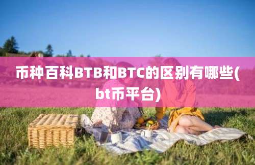 币种百科BTB和BTC的区别有哪些(bt币平台)