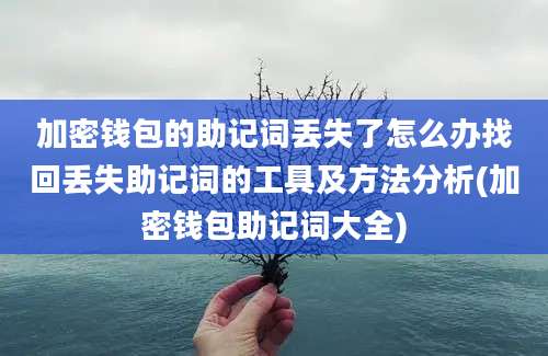 加密钱包的助记词丢失了怎么办找回丢失助记词的工具及方法分析(加密钱包助记词大全)