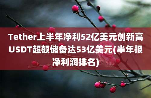 Tether上半年净利52亿美元创新高USDT超额储备达53亿美元(半年报净利润排名)