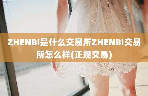 ZHENBI是什么交易所ZHENBI交易所怎么样(正规交易)