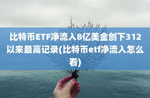 比特币ETF净流入8亿美金创下312以来最高记录(比特币etf净流入怎么看)