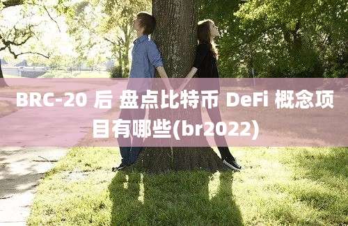 BRC-20 后 盘点比特币 DeFi 概念项目有哪些(br2022)