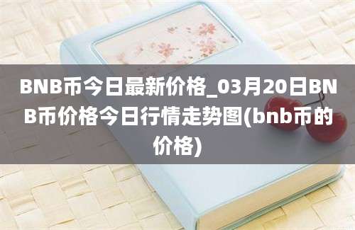 BNB币今日最新价格_03月20日BNB币价格今日行情走势图(bnb币的价格)