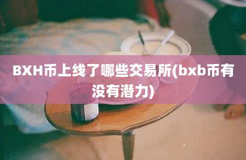 BXH币上线了哪些交易所(bxb币有没有潜力)