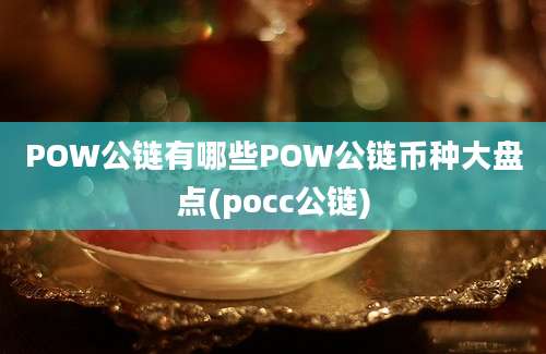 POW公链有哪些POW公链币种大盘点(pocc公链)