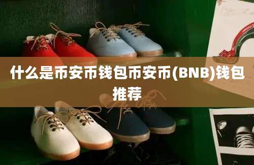 什么是币安币钱包币安币(BNB)钱包推荐