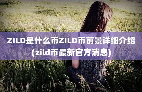 ZILD是什么币ZILD币前景详细介绍(zild币最新官方消息)