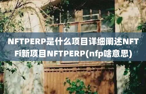 NFTPERP是什么项目详细阐述NFTFi新项目NFTPERP(nfp啥意思)