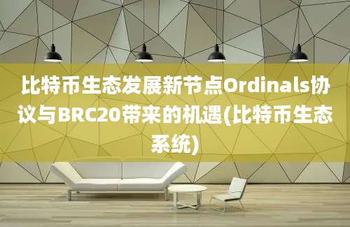 比特币生态发展新节点Ordinals协议与BRC20带来的机遇(比特币生态系统)