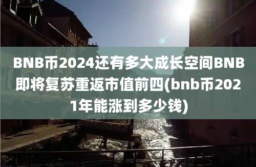 BNB币2024还有多大成长空间BNB即将复苏重返市值前四(bnb币2021年能涨到多少钱)