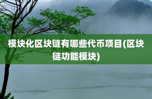 模块化区块链有哪些代币项目(区块链功能模块)