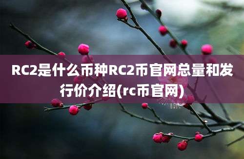 RC2是什么币种RC2币官网总量和发行价介绍(rc币官网)