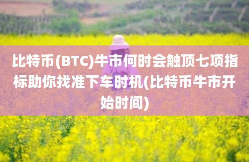 比特币(BTC)牛市何时会触顶七项指标助你找准下车时机(比特币牛市开始时间)