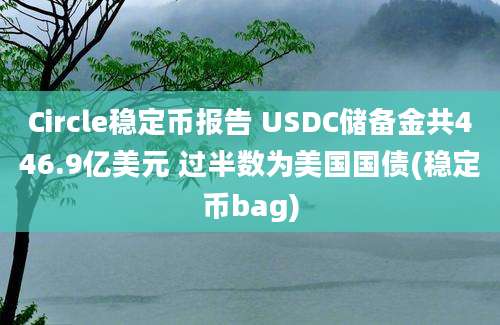 Circle稳定币报告 USDC储备金共446.9亿美元 过半数为美国国债(稳定币bag)