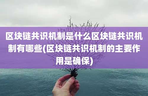 区块链共识机制是什么区块链共识机制有哪些(区块链共识机制的主要作用是确保)