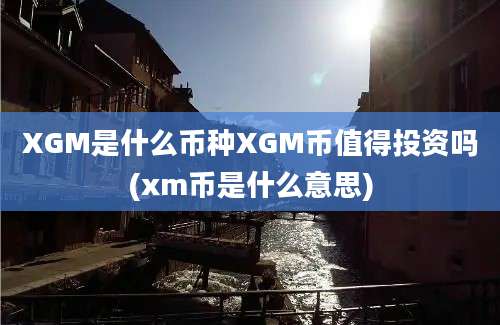 XGM是什么币种XGM币值得投资吗(xm币是什么意思)