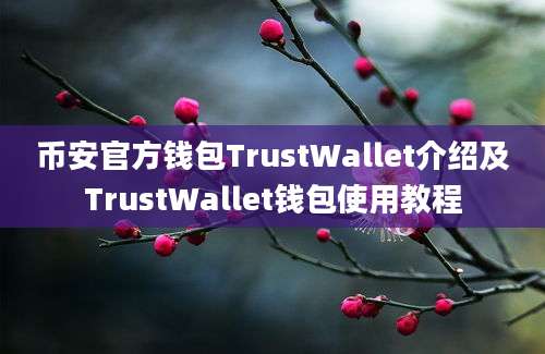 币安官方钱包TrustWallet介绍及TrustWallet钱包使用教程