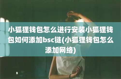 小狐狸钱包怎么进行安装小狐狸钱包如何添加bsc链(小狐狸钱包怎么添加网络)