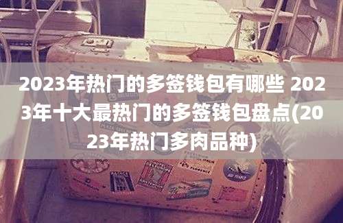 2023年热门的多签钱包有哪些 2023年十大最热门的多签钱包盘点(2023年热门多肉品种)