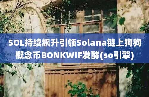 SOL持续飙升引领Solana链上狗狗概念币BONKWIF发酵(so引擎)