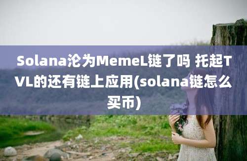 Solana沦为MemeL链了吗 托起TVL的还有链上应用(solana链怎么买币)