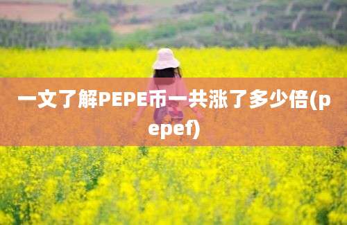 一文了解PEPE币一共涨了多少倍(pepef)