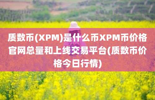 质数币(XPM)是什么币XPM币价格官网总量和上线交易平台(质数币价格今日行情)