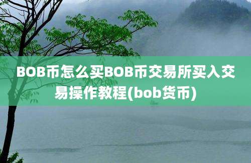 BOB币怎么买BOB币交易所买入交易操作教程(bob货币)