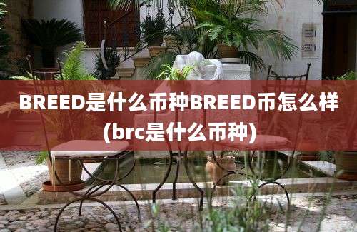 BREED是什么币种BREED币怎么样(brc是什么币种)