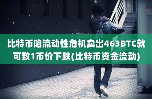 比特币陷流动性危机卖出463BTC就可致1币价下跌(比特币资金流动)