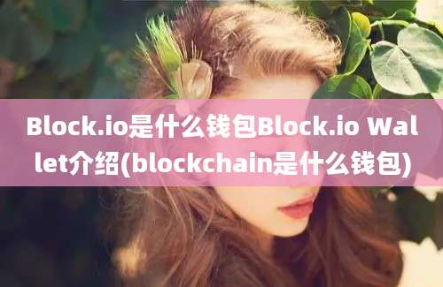 Block.io是什么钱包Block.io Wallet介绍(blockchain是什么钱包)