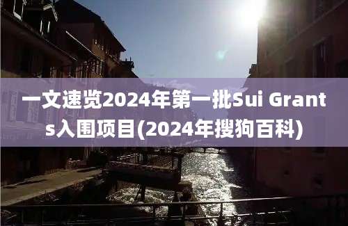 一文速览2024年第一批Sui Grants入围项目(2024年搜狗百科)