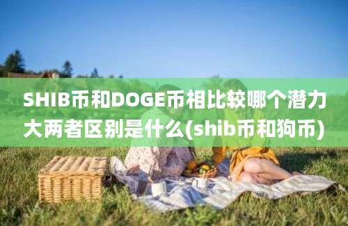 SHIB币和DOGE币相比较哪个潜力大两者区别是什么(shib币和狗币)