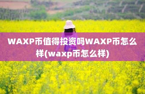 WAXP币值得投资吗WAXP币怎么样(waxp币怎么样)