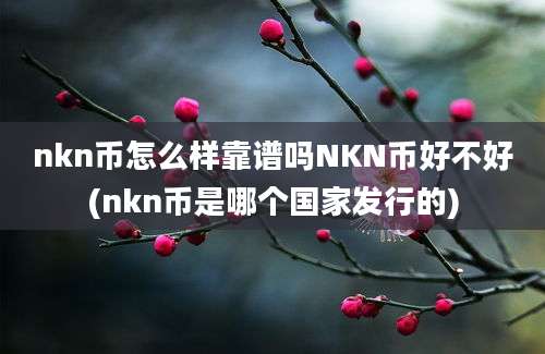 nkn币怎么样靠谱吗NKN币好不好(nkn币是哪个国家发行的)