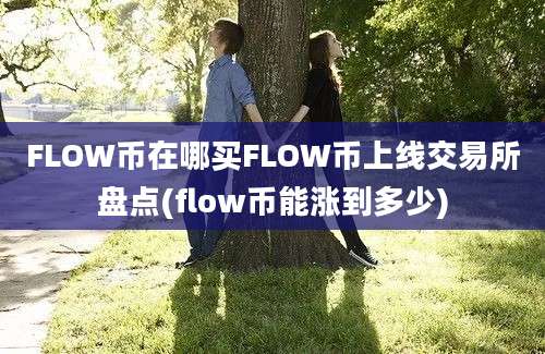 FLOW币在哪买FLOW币上线交易所盘点(flow币能涨到多少)