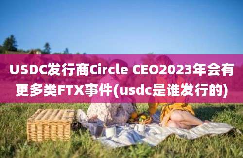 USDC发行商Circle CEO2023年会有更多类FTX事件(usdc是谁发行的)