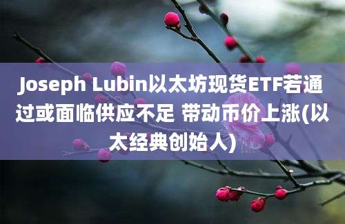 Joseph Lubin以太坊现货ETF若通过或面临供应不足 带动币价上涨(以太经典创始人)