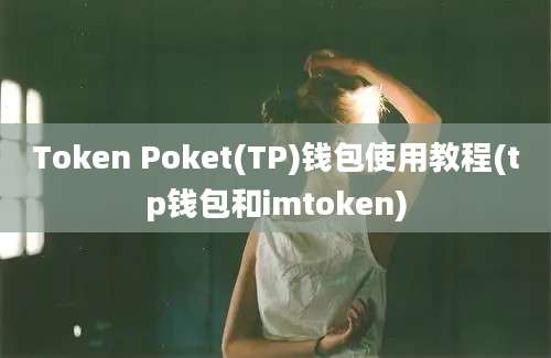 Token Poket(TP)钱包使用教程(tp钱包和imtoken)