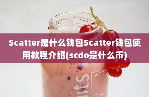 Scatter是什么钱包Scatter钱包使用教程介绍(scdo是什么币)