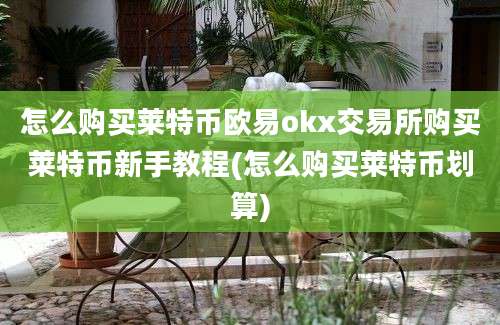 怎么购买莱特币欧易okx交易所购买莱特币新手教程(怎么购买莱特币划算)