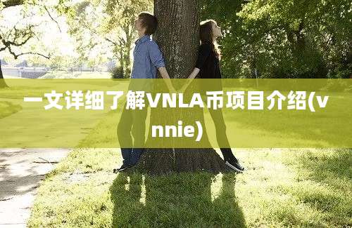 一文详细了解VNLA币项目介绍(vnnie)