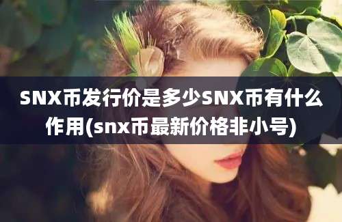 SNX币发行价是多少SNX币有什么作用(snx币最新价格非小号)