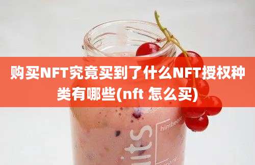 购买NFT究竟买到了什么NFT授权种类有哪些(nft 怎么买)