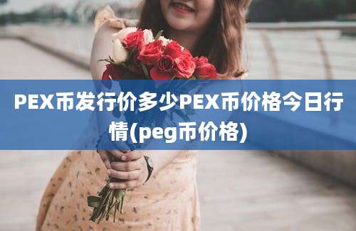 PEX币发行价多少PEX币价格今日行情(peg币价格)