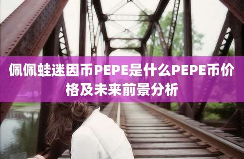 佩佩蛙迷因币PEPE是什么PEPE币价格及未来前景分析