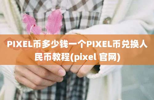 PIXEL币多少钱一个PIXEL币兑换人民币教程(pixel 官网)