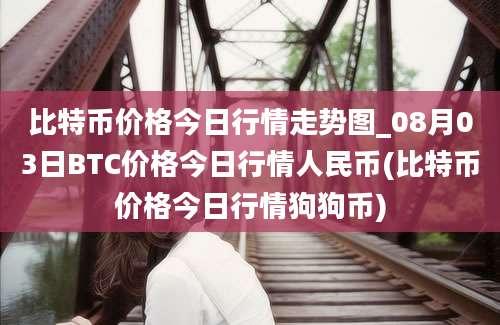 比特币价格今日行情走势图_08月03日BTC价格今日行情人民币(比特币价格今日行情狗狗币)