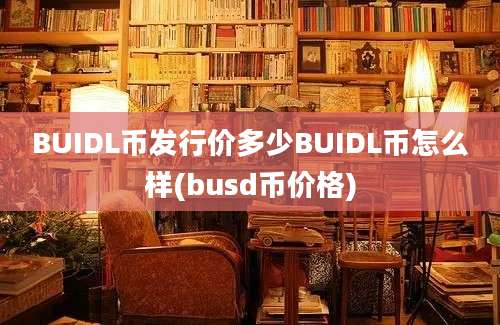 BUIDL币发行价多少BUIDL币怎么样(busd币价格)