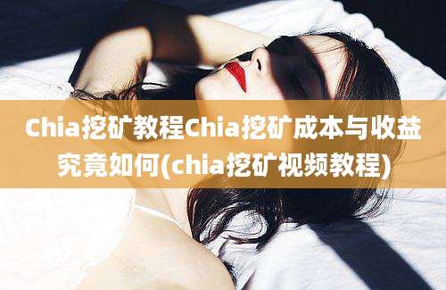 Chia挖矿教程Chia挖矿成本与收益究竟如何(chia挖矿视频教程)